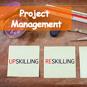 Στέλεχος Διαχείρισης και Διοίκησης Έργου (Project Management)