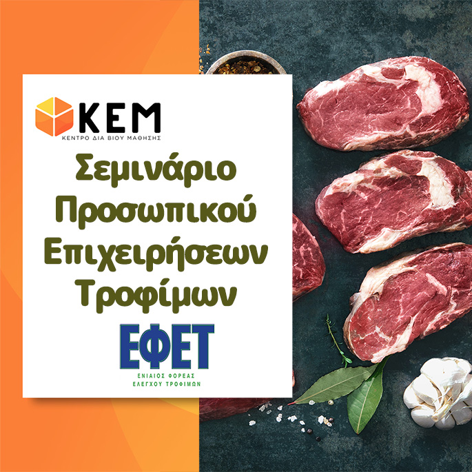 ΕΦΕΤ 685